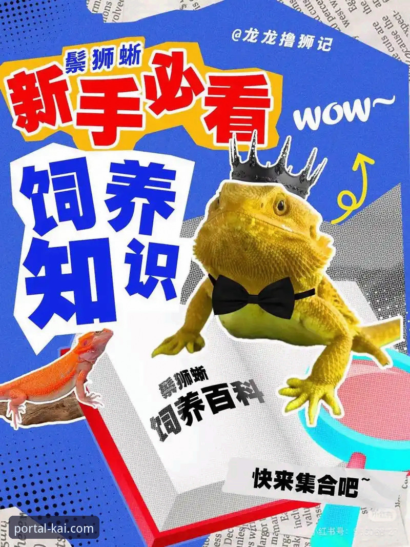 新手必看:开全站登录平台资深用户分享2026最新版本v2.1.0实用体验与下载技巧